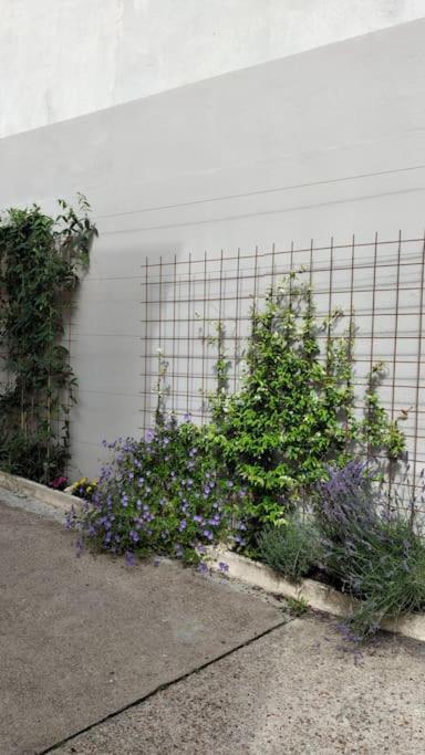 Experience Inouie A Orleans ! Apartment ภายนอก รูปภาพ